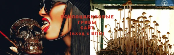 дурь Алзамай