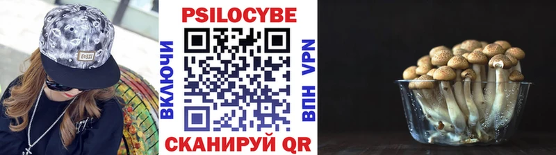 mega ссылки Чаплыгин Галлюциногенные грибы прущие грибы